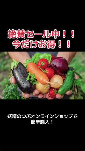 千葉テレビ「モーニングこんぱす」で紹介されました！ 誰でも簡単にはじめよう家庭菜園！ 経済的で出来立て新鮮な美味しい野菜を食卓へ！ 妖精のつぶを使えば、短時間で効果を実感！ 完全オーガニック素材（植物性100％）なので子供にも優しい！ ベランダ菜園から室内栽培にも使える！ 改良いらず・手間いらず・時間いらずで植物をもっと元気に、簡単に育てたいあなたのための商品です！ プロフィールのリンクから簡単購入！ ぜひ 1 度お試しください！ #妖精のつぶ #土壌改良材 #堆肥 #肥料 #家庭菜園 #観葉植物 #花 #多肉植物 #野菜 #家庭菜園初心者 #ベランダガーデニング #親子で野菜作り #食育 #オーガニック#有機肥料 #セール中 #家庭菜園好きな人と繋がりたい #家庭菜園はじめました #おすすめ商品