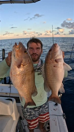 This is the best way to catch mangrove snapper offshore of Tampa bay! #snapperfishing #tampabay #florida | Groupermvp