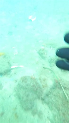 Discover Underwater Treasures Through Scuba Diving