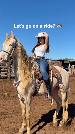 His name is Duke 🐴#horseriding #farmlife