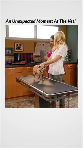 Filmy Oracle on Instagram: "🎬 I Didn’t Do It (2014–2015) 🎭 Comedy • Family • Sitcom ⏱️ Runtime: ~23 min per episode 📺 Available on: Disney+ 💰 Box Office: N/A (TV Series) ⭐ IMDb: 6.2/10 📊 Recommendation Level: Medium ⭐⭐ 👥 Cast: Olivia Holt, Austin North, Piper Curda, Peyton Clark, Sarah Gilman 📝 Plot: Twin siblings and their friends get into everyday chaos, and every episode starts with the same question — “Who did it?” — leading to funny misunderstandings. #IDidntDoIt #DisneySeries #TeenS