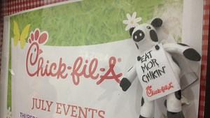 Mooo: Chick-fil-A offering free food to anyone dressed like a cow today