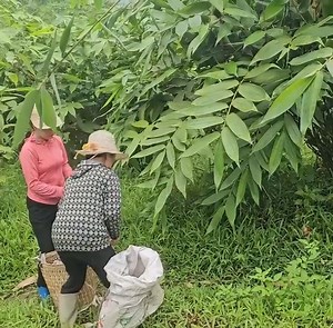 97K views · 2.4K reactions | The Thief, the Duck, and a Bitter End Part-1 | PXP Gaming | Facebook