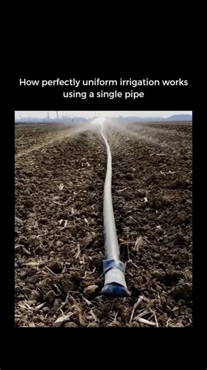 Mark Lenox on Instagram: "This video shows how a single irrigation tube can distribute water uniformly across the entire field. The water flows continuously through the main tube and exits through small perforations spaced precisely, while the controlled pressure maintains the same flow rate from start to finish. This way, every area receives practically the same amount of water, allowing it to penetrate the soil evenly without runoff or waste. This uniform irrigation is fundamental for healthy