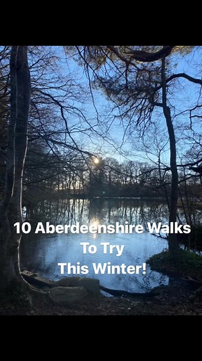 Best Aberdeenshire Winter Walks for Families with Young Kids