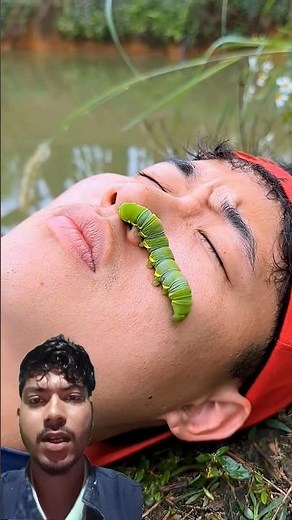 Survival Skills: Useful and Clever #outdoors #survival #campfire #bushcraft#effect