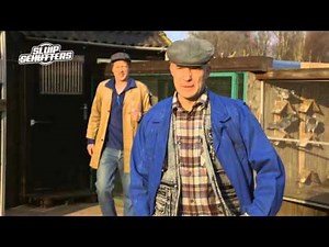 Duiven kweker over prijzen. - Sluipschutters