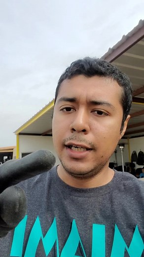 Diagnóstico de Toyota Sienna: Problemas y Soluciones