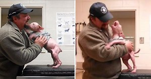 Man Returns To Adopt The Dog He Rescued, And The Pup Couldn’t Be Happier