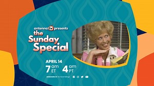 9.9K views · 101 reactions | TODAY! Antenna TV presents! The Sunday Special! Watch back-to-back episodes of your favorite classic television sitcoms! This month ‘Alice’! Order up the Sunday Special at Mel's Diner as Alice serves an extra helping of laughs! All day April 14th from 7 to 7! The Sunday Special! Only on Antenna TV! #antennatv #rewindtv #alice #nostalgia #retro | Antenna TV | Facebook