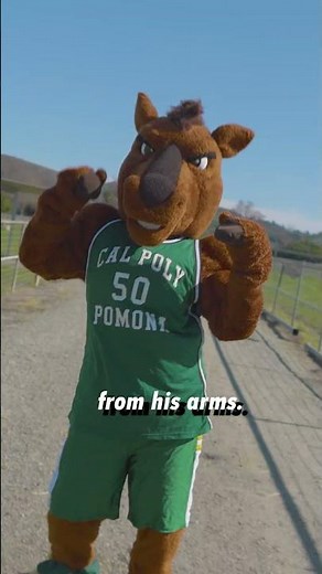 The Origin Story of Cal Poly Pomona Mascot Billy Bronco