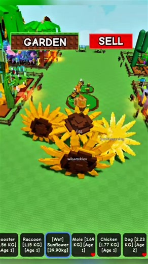 PARADE ALA SI CURUT DI GROW A GARDEN #ROBLOX #growagarden