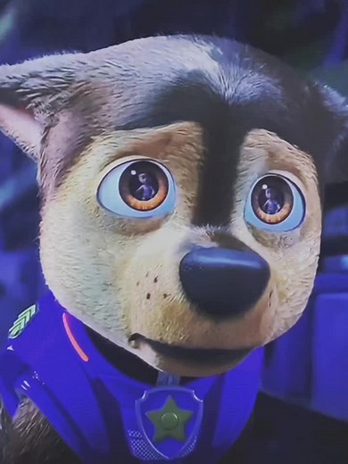 Paw Patrol Chase Police Force