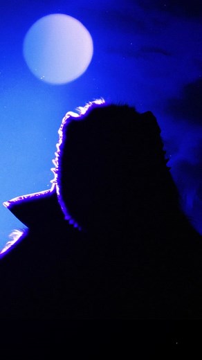 Unveiling the Wolf Mask Costume on The Masked Singer