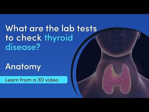What are the functions of the thyroid gland? | MediMagic | 3D medical video
