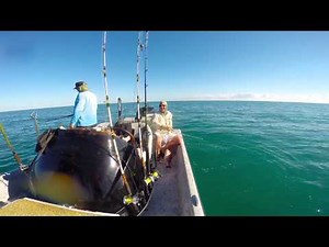 Red snapper fishing with captain Clint Smith. Corpus Christi, Tx