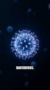 What Happens If You Get the Hantavirus? #AndesVirus #HantaVirus #Virus #Health #Science #Shorts