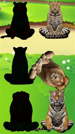 Placing the animals to match their shadows #shorts #cartoon #animation