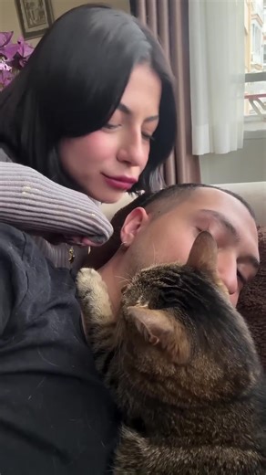 Cats101 Part 4 - Jealous Cats 1 🐱 #cats #jealouscat #funnycat