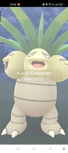 Backlog A Wild XXL Kantonian Exeggutor Spawned ✌🏻🌴🌿🔮