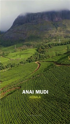 The Highest Mountain in South India #Anamudi #Kerala #Munnar #India #EarthExplorerMaps #Maps #Shorts