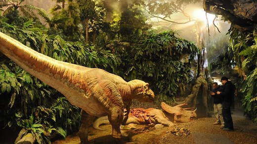 Geheimnisse der Jurassic-Saurier (Teil 2/2)