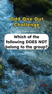 Odd One Out Challenge 168 #brainteaser #oddoneout #logic #iqtest #fblifestyle | Brain Teaser Nation