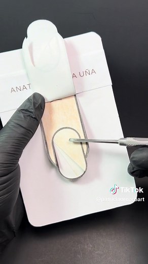 Clase 1 de #Nivelacion y #esmalado - parte 1 Anatomía de la uña natural, una explicación bastante detallada, este video es el inicio de nuestras clases de nivelación con la marca de @Acry Love 😍🫶