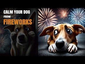 Sound to Calm Dogs from Fireworks (GUARANTEED)