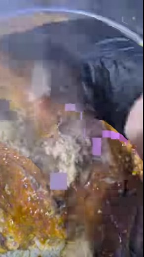 738K views · 16K reactions | الطباخ طه عبدالحليم on Reels | Facebook