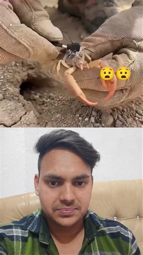 #oc