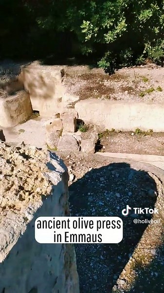 Jesus' Favorite Foods in the Holy Land Revealed