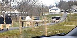 513K views · 3.7K reactions | Amish wedding servers walking from the wedding ceremony location to the reception yesterday near Saltillo Ohio. Servers are all single girls all dressed alike. There's a group of a dozen or so, followed by some wedding guests, with three more servers trailing. JD | AmishLeben | Facebook