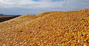 Are we turning the corner on ag commodity prices?