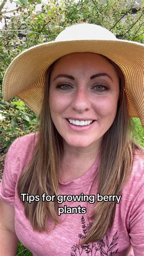 Blackberries and raspberries are considered self pollinating, because you don’t need to plant multiple varieties. However, they still need insect pollination (or hand pollination in a greenhouse). Berry blossoms are highly attractive to pollinators, but having other early blooming flowers/herbs nearby will help too. Columbine, iris, thyme, hyacinth, phlox, hellebores, violets, clover, and daffodils are just a few! #blackberries #raspberries #growingfruit #gardentips #pollinatorgarden