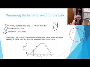 Bacterial Growth and Metabolism