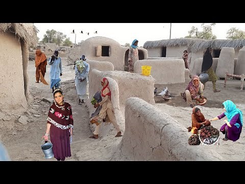 Pakistani Women Life in Punjab Village || The Most Beautiful Village in Pakistan
