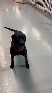 On Angels Wings Inc on Reels | Facebook