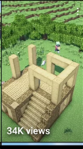 Minecraft Starter House🏠 #shorts#truedialogue#truedialogue