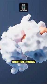 Charles Darwin's Secret Life Origin Theory Was SPOT ON! The 'Warm Little Pond' Holds the Key.