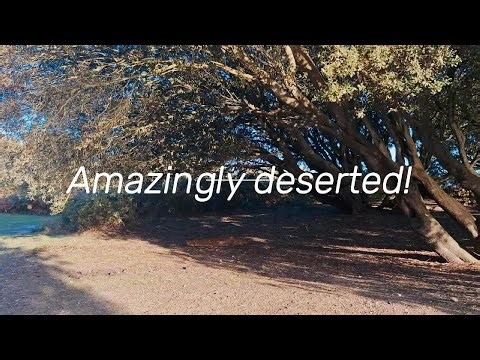 Corton nature reserve and beach