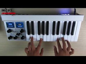 MCMA| Review Mellotron M4000D Micro