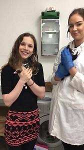 New news in Leeds ! Kittycafe.co.uk | Kitty Café