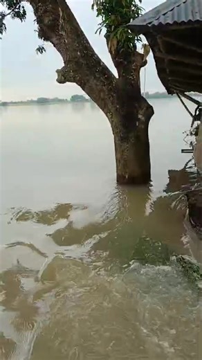 মোঃ শহিদুল ইসলাম on Reels