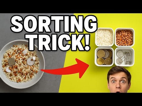 Sorting of Materials | Grade 6 Science Activity | NCERT Chapter Explanation with Examples