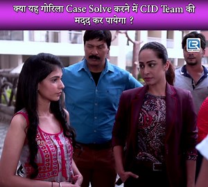568K views · 19K reactions | क्या यह गोरिला Case Solve करने में CID Team की मदद कर पायेगा ? | C.I.D | सी.आई.डी | Full Episode #CID #सीआईडी #CID2024 #LatestTV #LatestFromTV #CrimeThrillers #CrimeMysteries #Mysteries #Horror #NewCID #Crime #NewCID #latestcid #cid #cidlatestepisode #cidnewepisode #hinditvserial #latestepisode #newepisode #tvserial #hindiserial #hindishow #tvshow | Pocket Film | Facebook