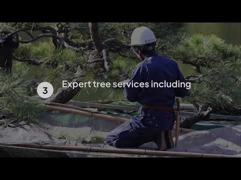 Lawn Care Companies Near Me by Truco Services Inc