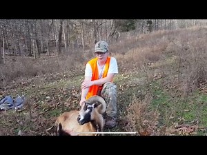 Wilderness hunting lodge part 4: the end