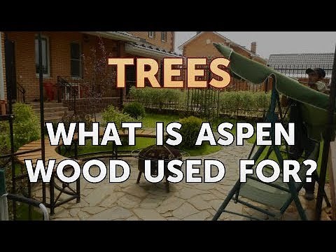 What Is Aspen Wood Used For?