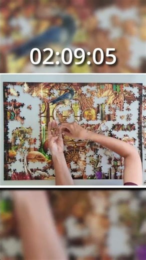 1000 piece Jigsaw Puzzle Time Lapse - Ravensburger Merlin's Laboratory